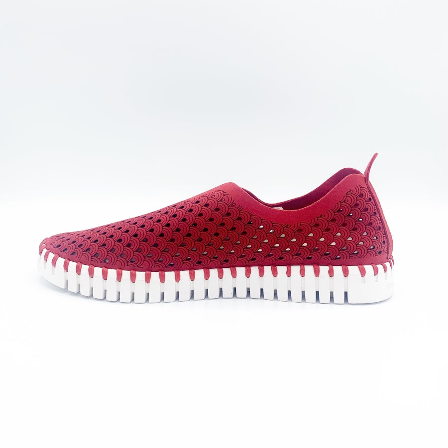 Inner view of the ilse jacobsen tulip flat in deep red. This flat shoe has a white sole and a scale-like red upper. The upper is perforated with tiny holes all over it.