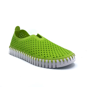 Outer front view of the ilse jacobsen tulip shoe in light green. This flat shoe covers the entire foot and has perforate holes all over it. The sole is white. 