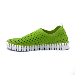 Inner view of the ilse jacobsen tulip shoe in light green. This flat shoe covers the entire foot and has perforate holes all over it. The sole is white. 
